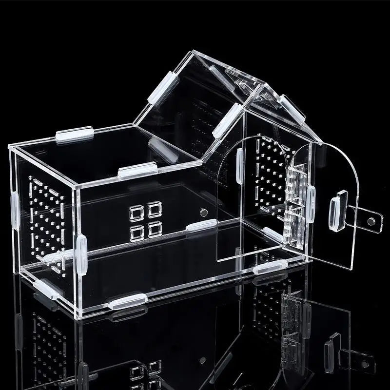 Boîte d'Élevage en Acrylique pour Reptiles – Terrarium Transparent