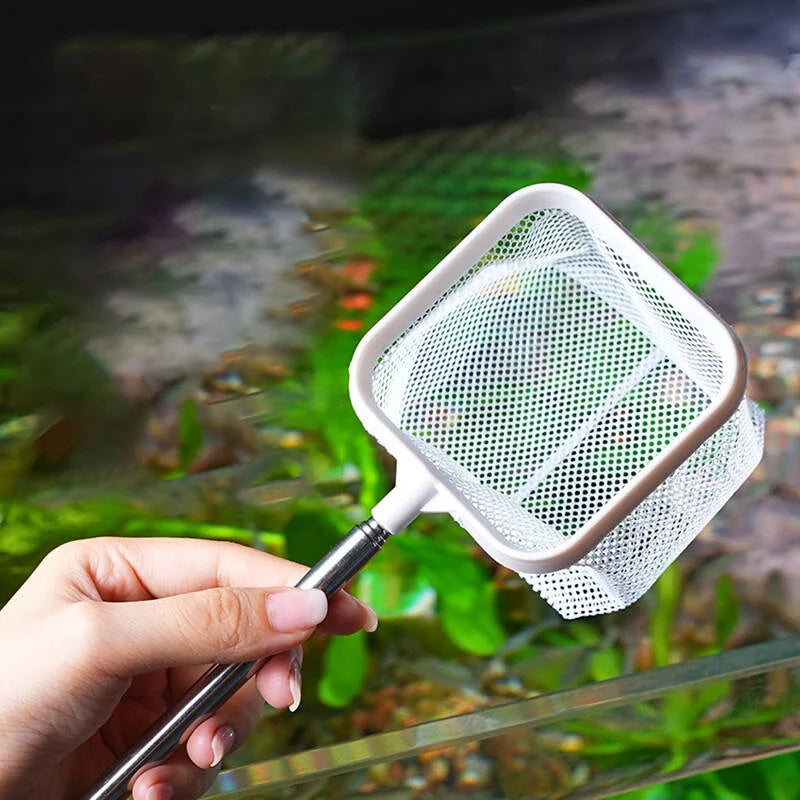 Épuisette pour Aquarium avec Manche Télescopique & Ventouse – Anti-Rouille, S / L