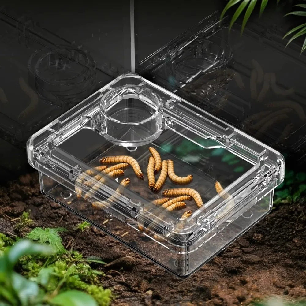 Gamelle Anti-Évasion pour Reptiles – Lézards & Geckos, S/M/L