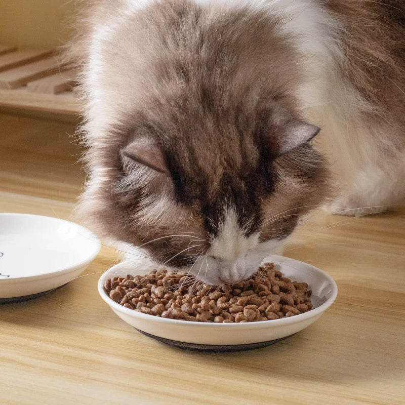 Keramische kattenvoerbak; antislip siliconenmat; schattige kittenaccessoires; praktische voerbak voor huisdieren