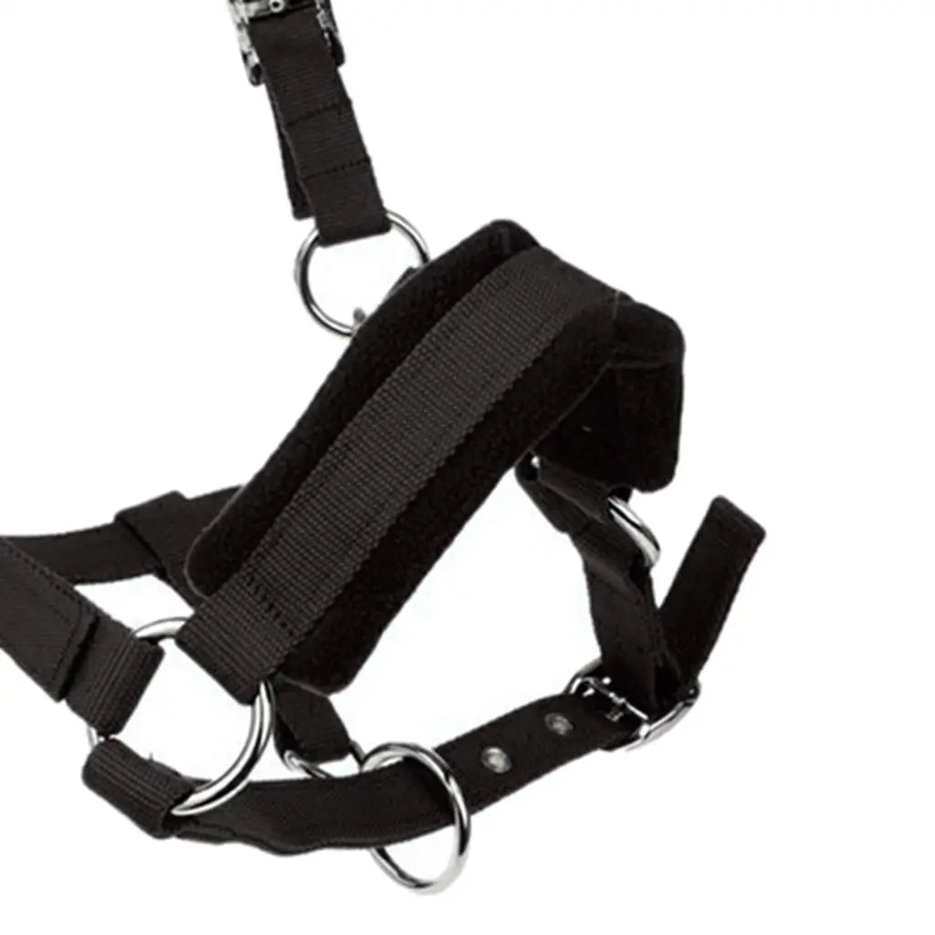 Licol Rembourré en Nylon pour Cheval & Poney – Double Polaire, Réglable, S / M / L