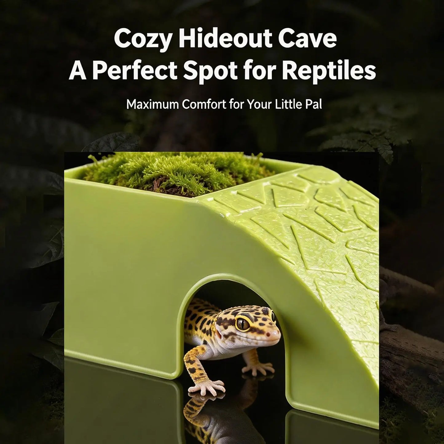 Grotte 2-en-1 pour Reptiles – Abri Décoratif & Bol à Nourriture
