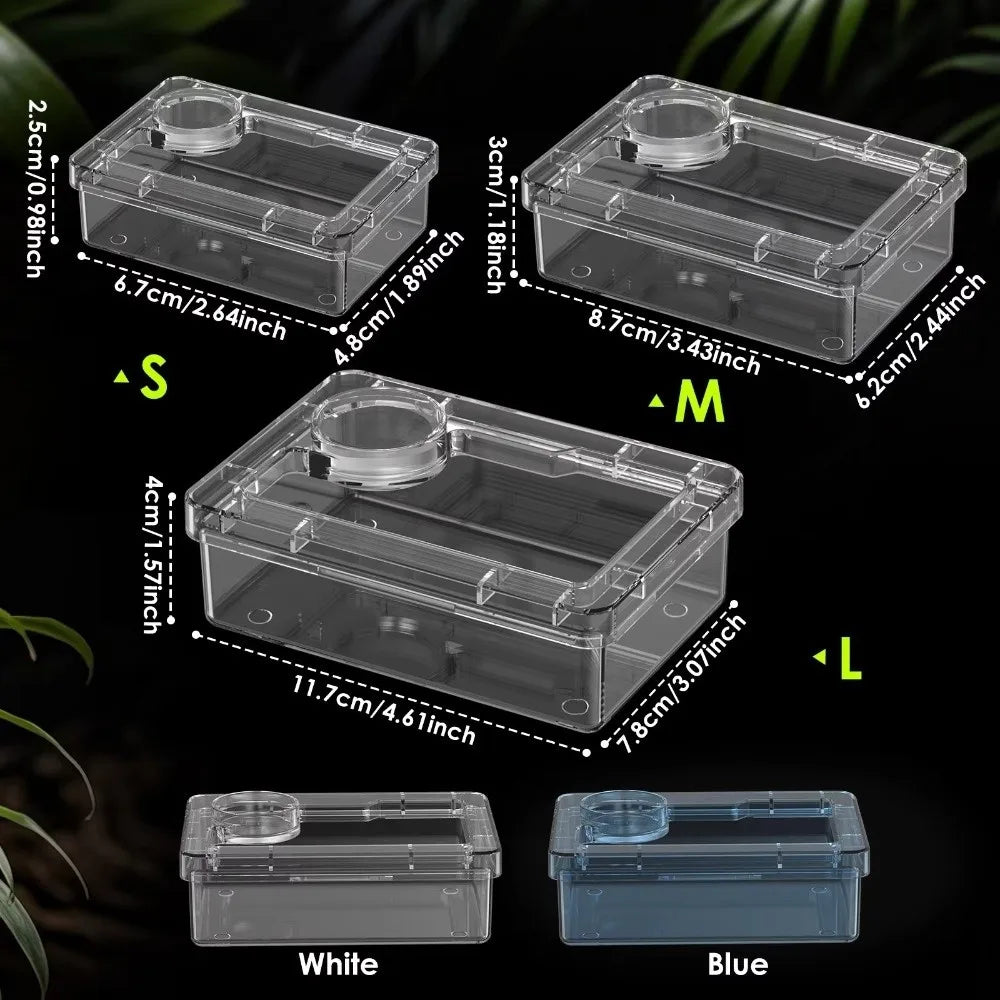 Gamelle Anti-Évasion pour Reptiles – Lézards & Geckos, S/M/L