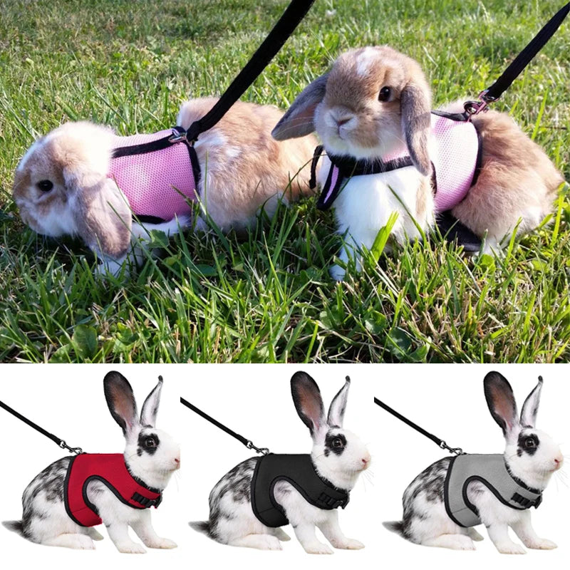 Harnais et laisse réglables pour lapin, chat et furet