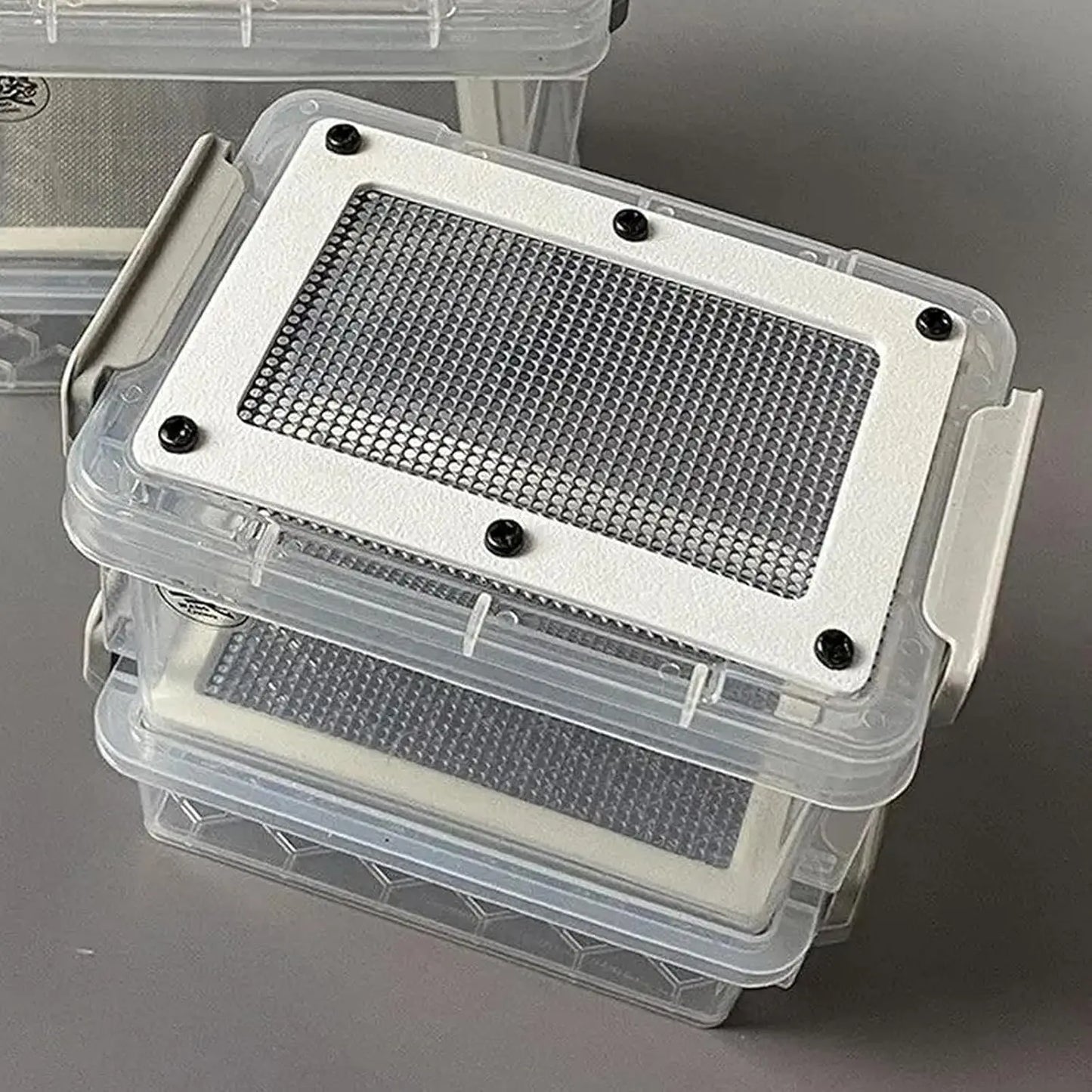 Boîte d'Élevage Double Étage pour Insectes – Transparente, Grille Respirante, Vers de Farine & Criquets