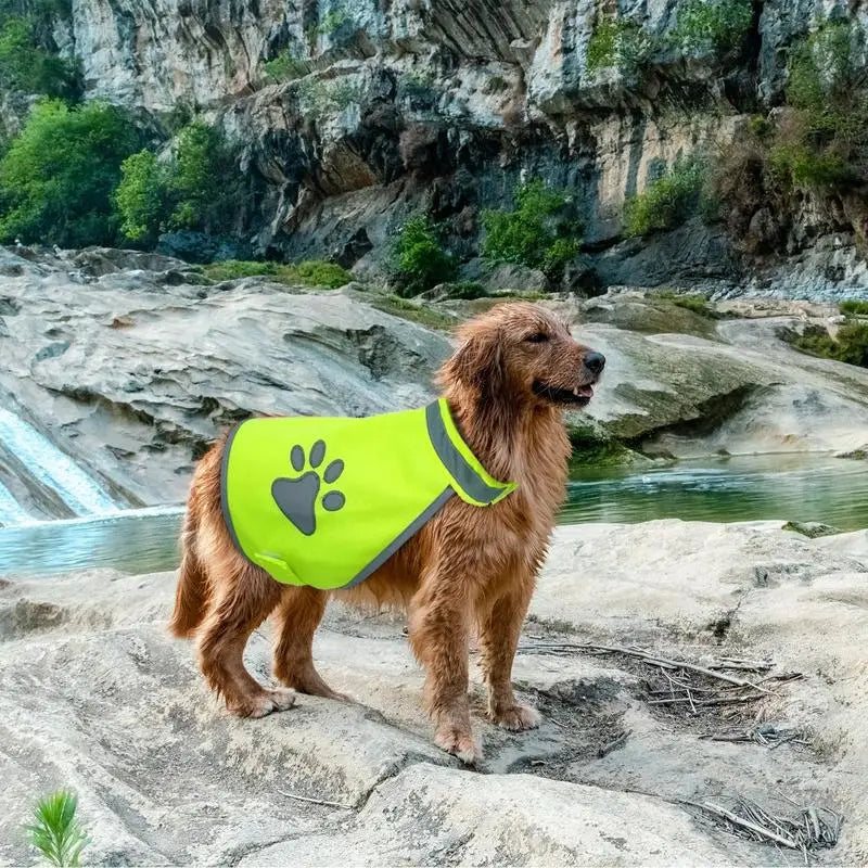 Reflecterend veiligheidsvest voor honden met harnas, hoge zichtbaarheid 's nachts, ademend, ideaal voor puppywandelingen, training en wandelen.