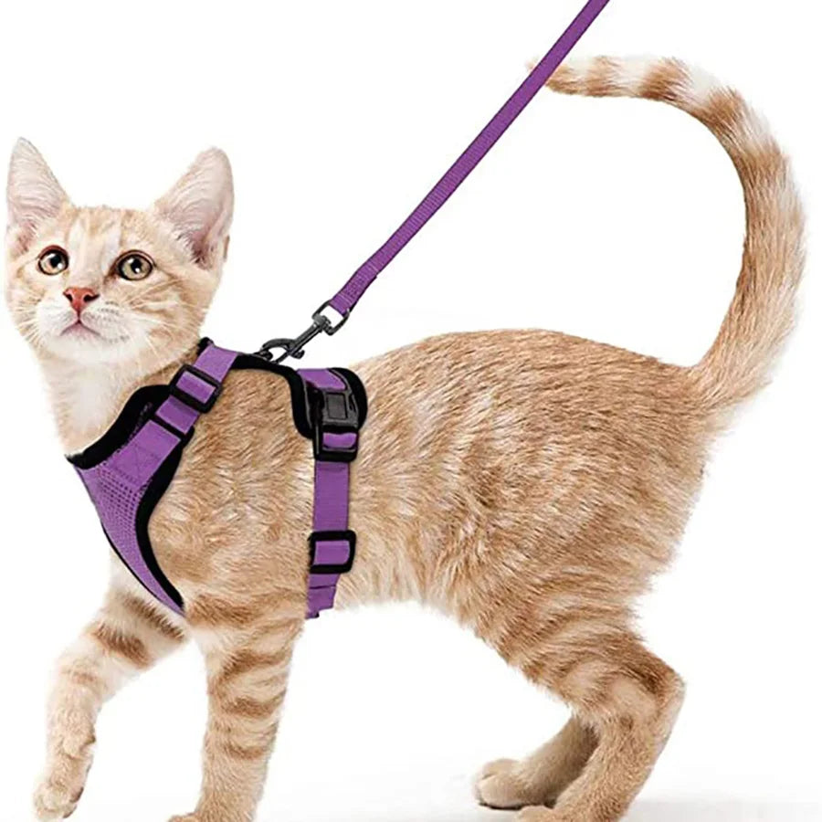 Kattenharnas en -riem, zacht en verstelbaar ontsnappingsbestendig vesttuigje voor katten, EasyControl