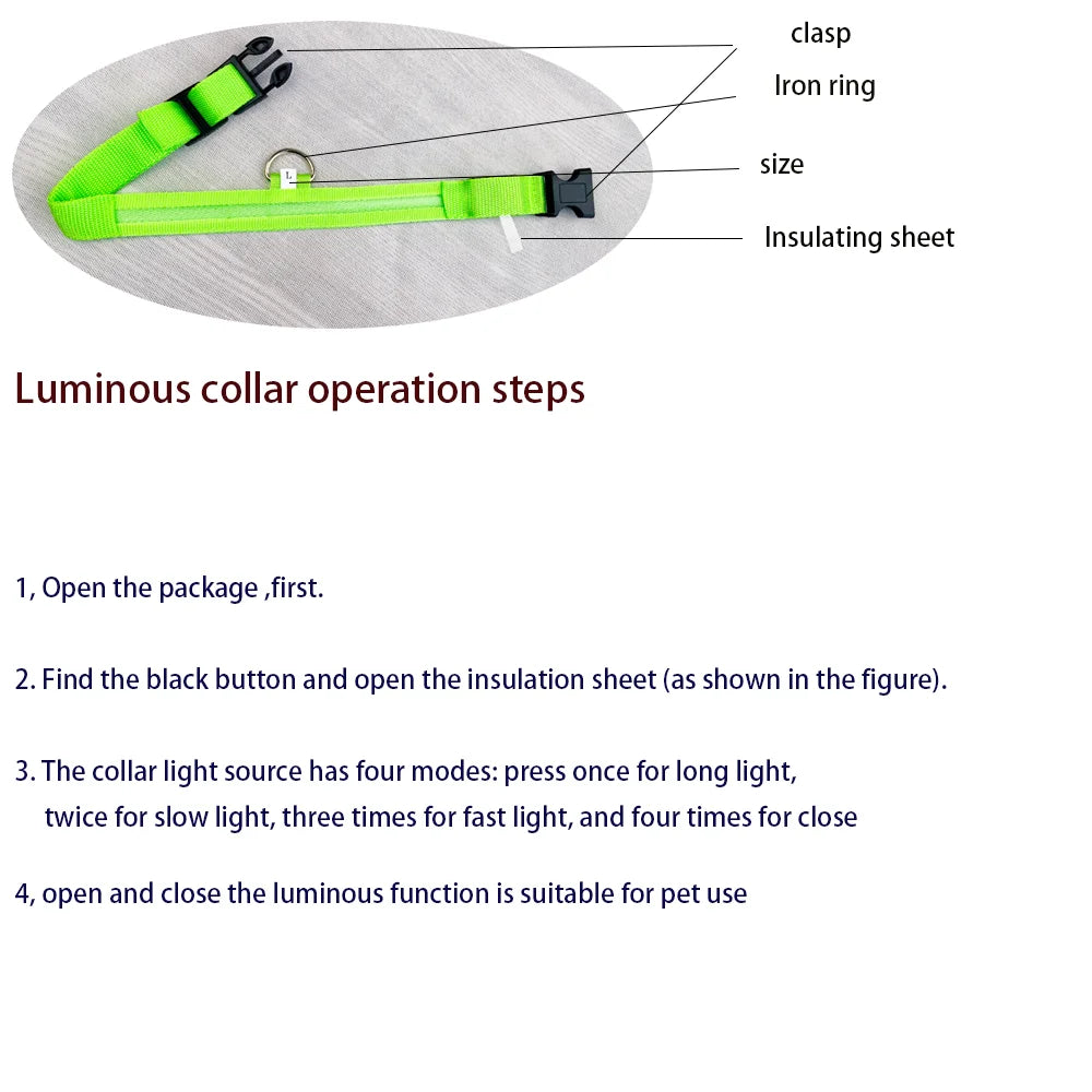 Collier LED Fluorescent pour Chien — Sécurité Nocturne, Nylon, 7 Coloris