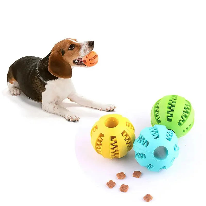 Balle Caoutchouc pour Chien – Non Toxique, Distributrice de Friandises, Nettoyage Dentaire