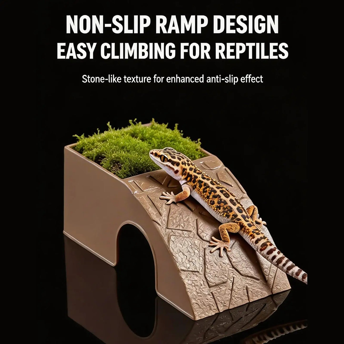 Grotte 2-en-1 pour Reptiles – Abri Décoratif & Bol à Nourriture