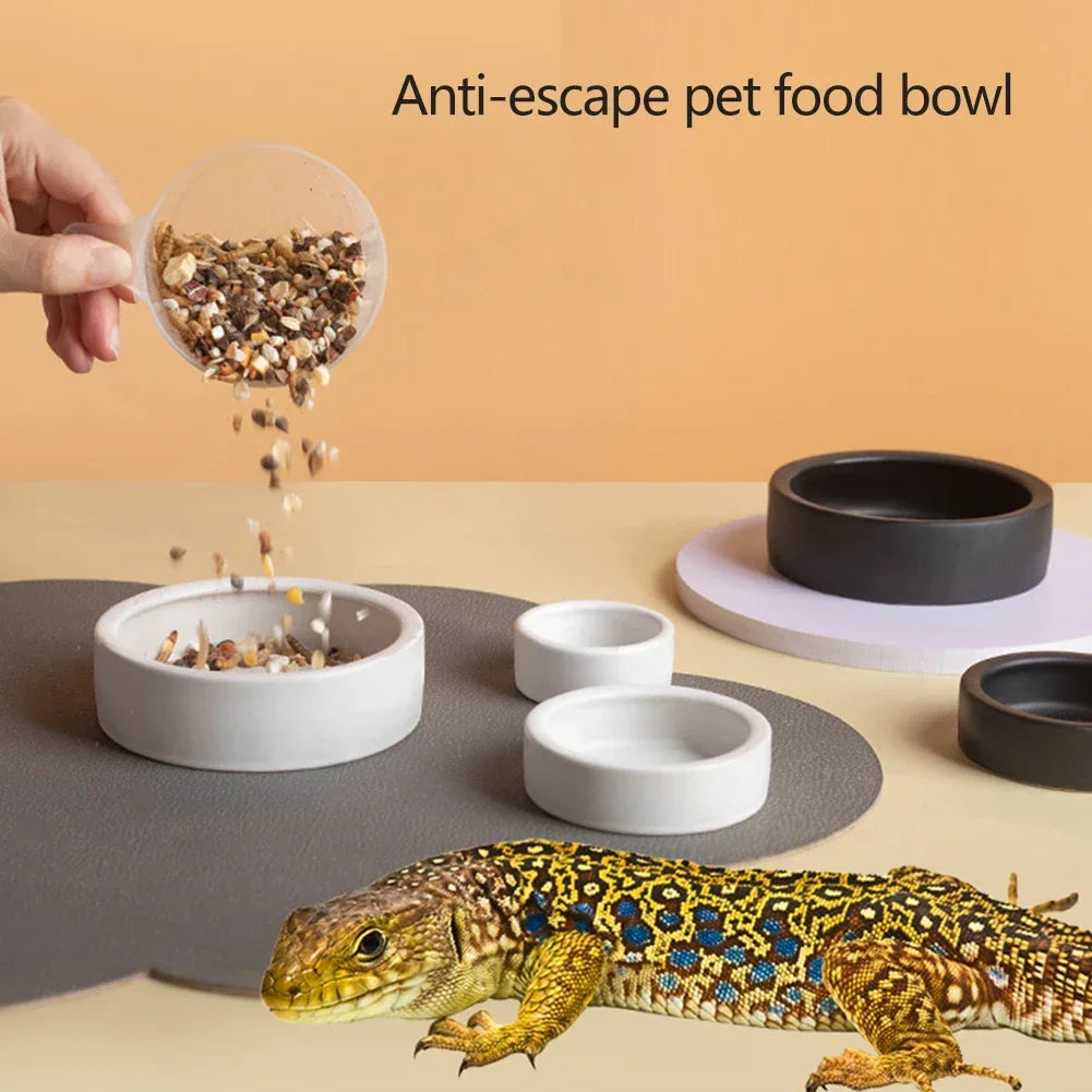 Coupelle en Céramique Ronde Anti-Évasion pour Reptiles – Fond Antidérapant, S / M / L