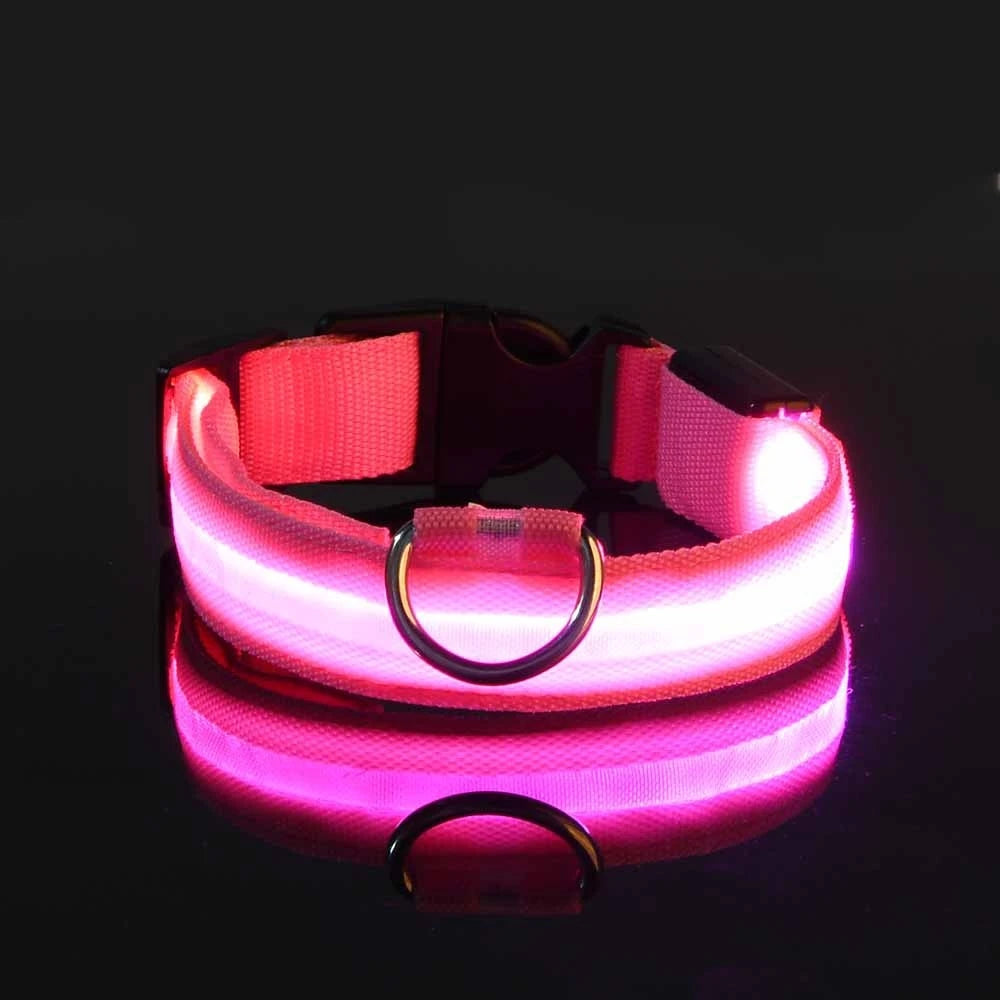 Collier LED Fluorescent pour Chien — Sécurité Nocturne, Nylon, 7 Coloris
