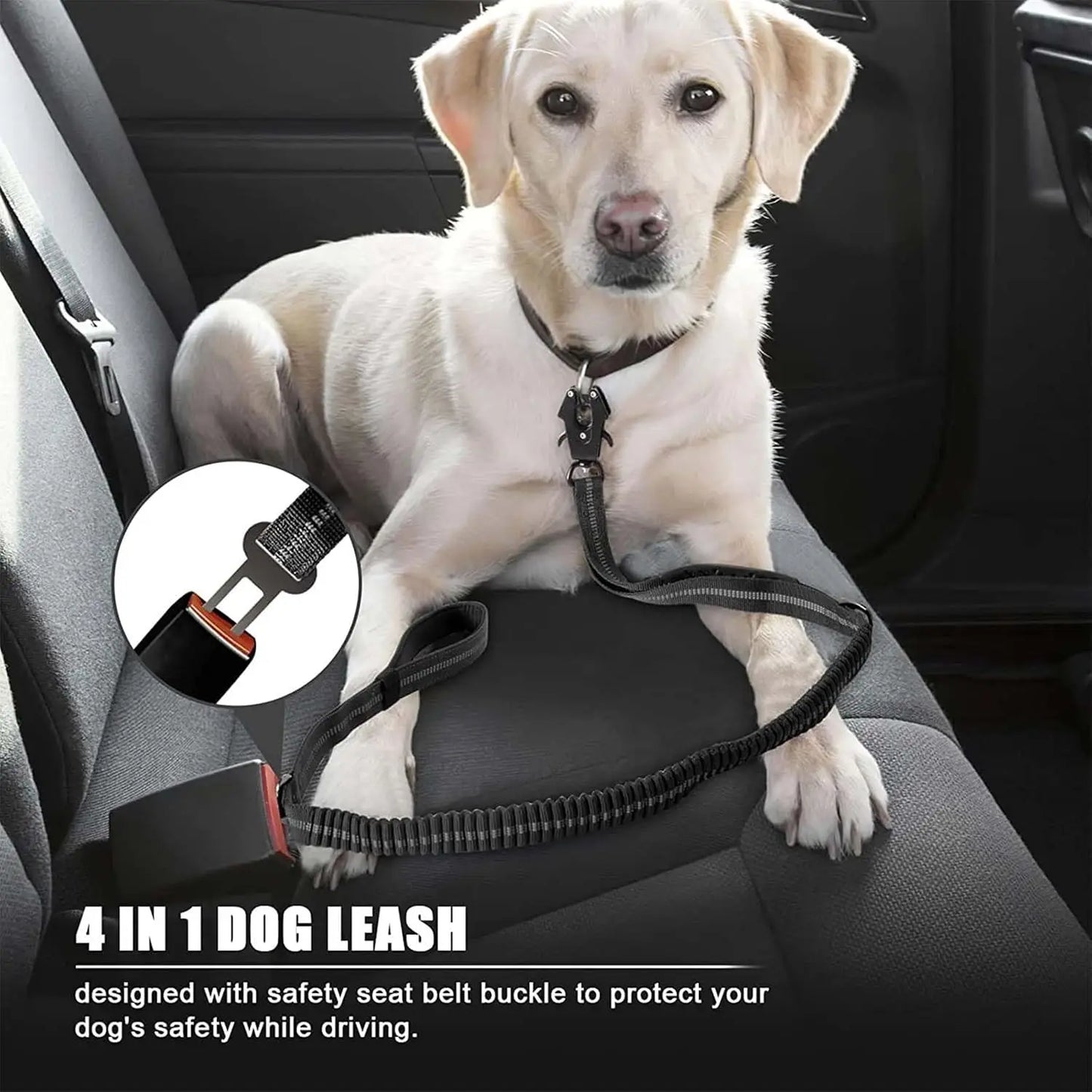 Laisse Tactique Réfléchissante pour Grand Chien – Double Poignée, Anti-Traction, Absorption des Chocs
