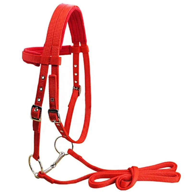 Licol en Polaire Rembourré pour Cheval – Réglable, Ultra-Doux, S / M / L
