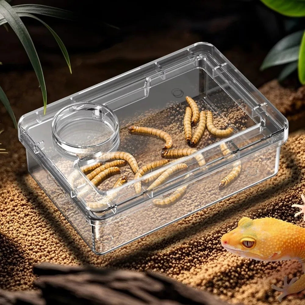 Gamelle Anti-Évasion pour Reptiles – Lézards & Geckos, S/M/L