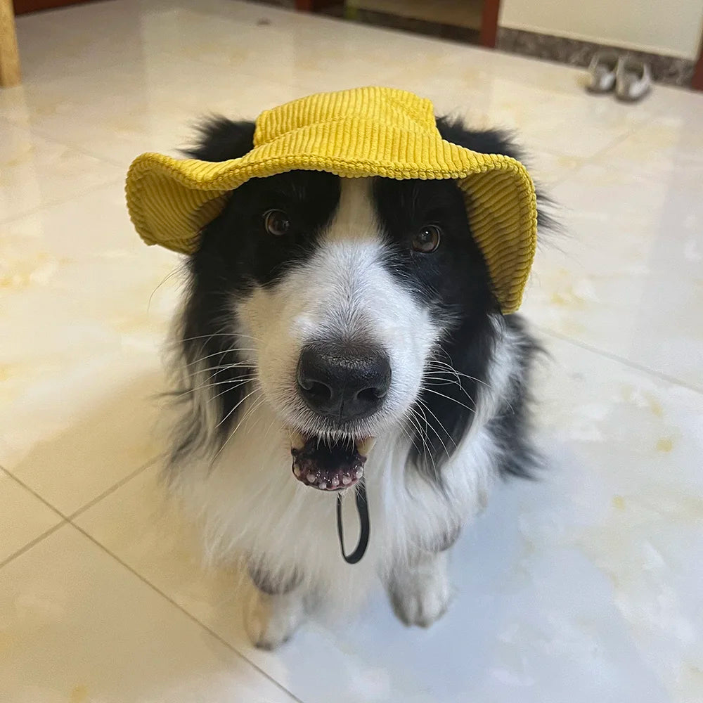 Chapeau pour Chien Anti-UV Réglable – Tailles XS à XL, Velours Côtelé