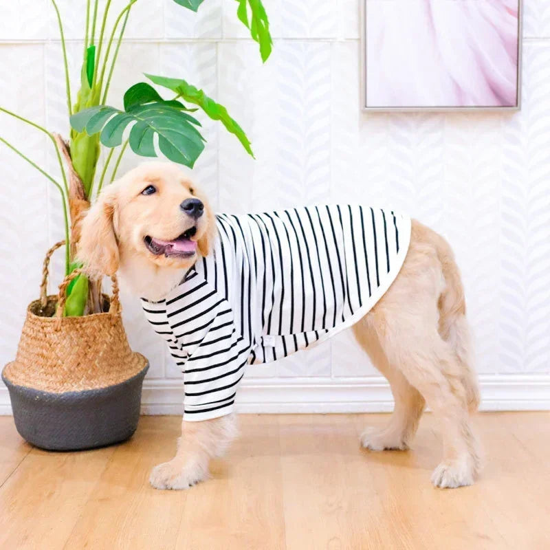 Vêtement d'Été pour Grand Chien – T-shirt & Débardeur