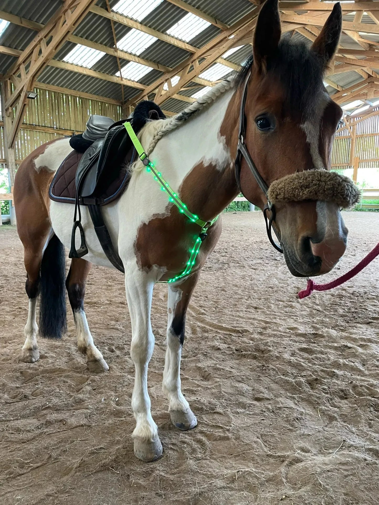 Harnais LED pour Cheval – Nylon, Visible de Nuit, Rechargeable USB, Rouge / Bleu / Vert