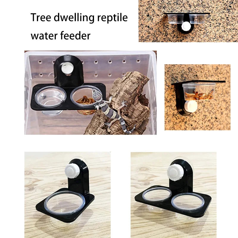 Mangeoire Murale pour Terrarium – Boîte d'Alimentation Anti-évasion