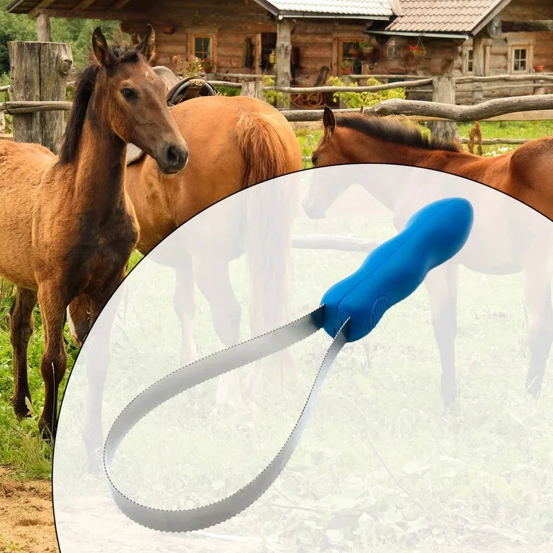 Paardenkam, paardenkrabborstel, antislipkam, geschikt voor paarden, runderen en alle hondenrassen, zweetkrabber
