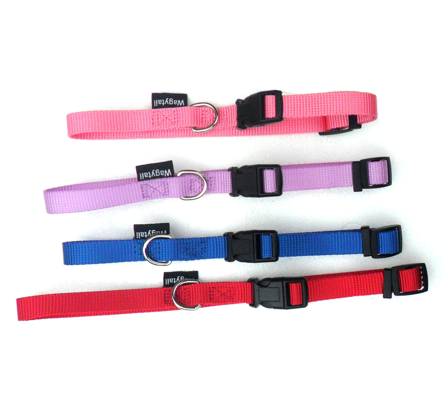 Collier Réglable en Nylon pour Chien – 4 Couleurs