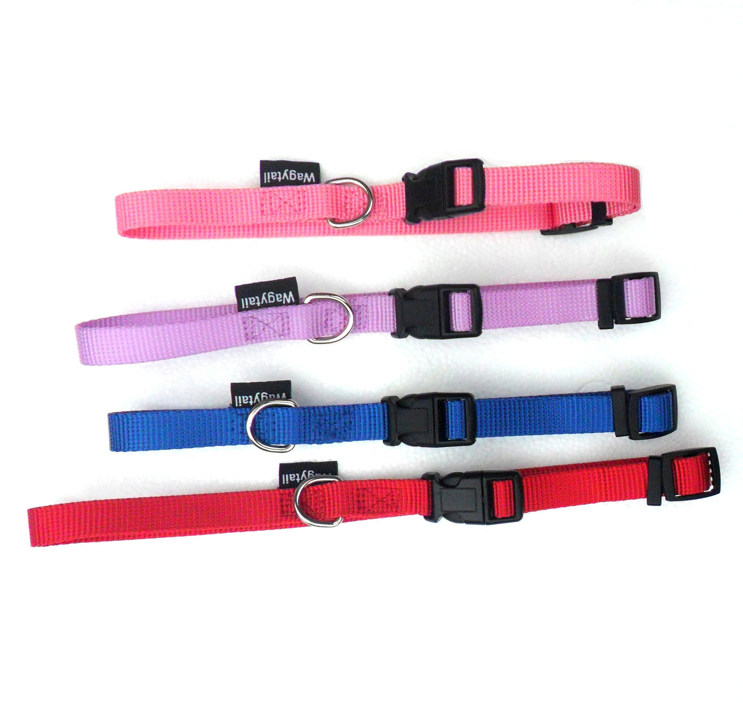 Collier Réglable en Nylon pour Chien – 4 Couleurs