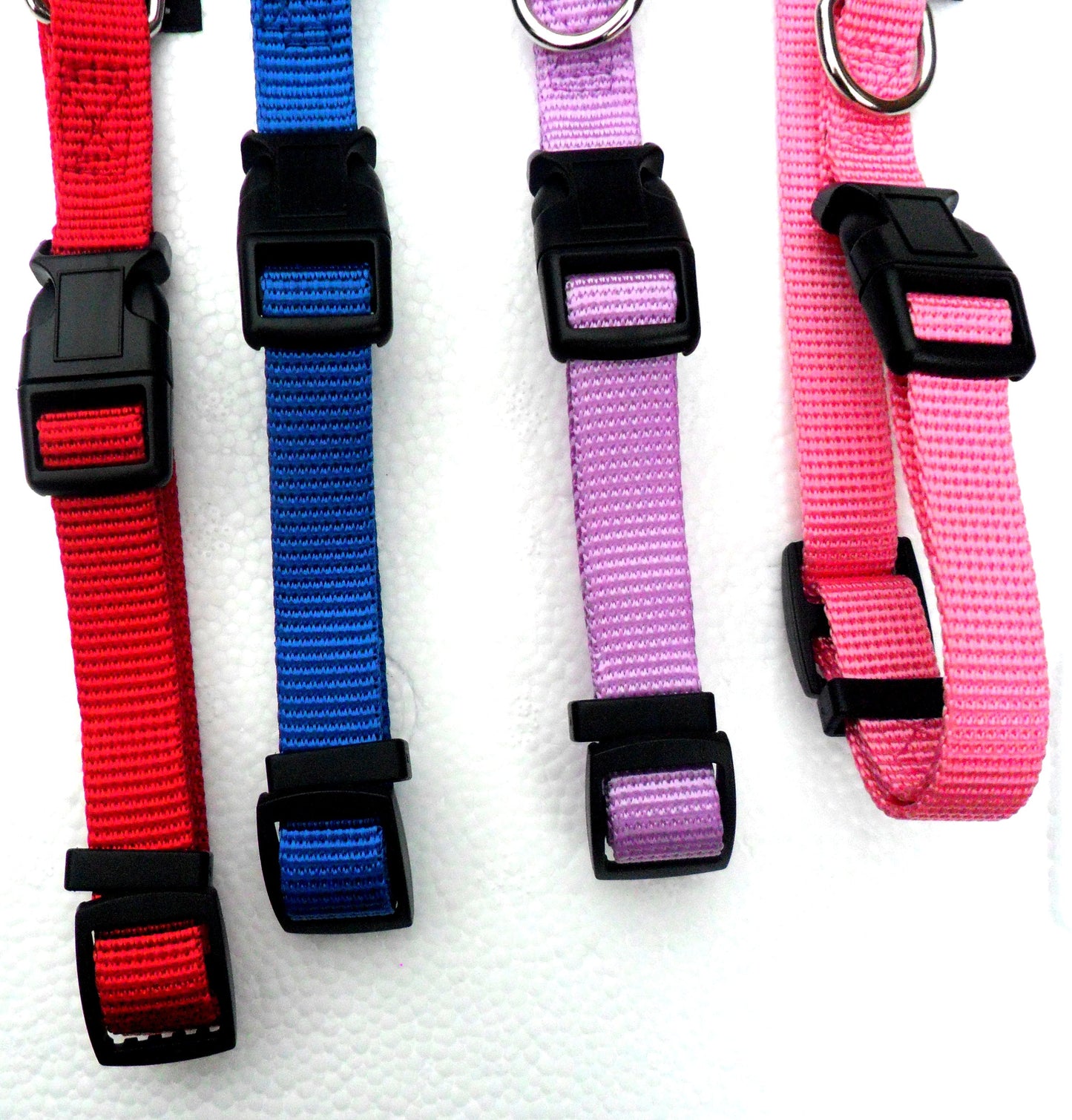 Collier Réglable en Nylon pour Chien – 4 Couleurs