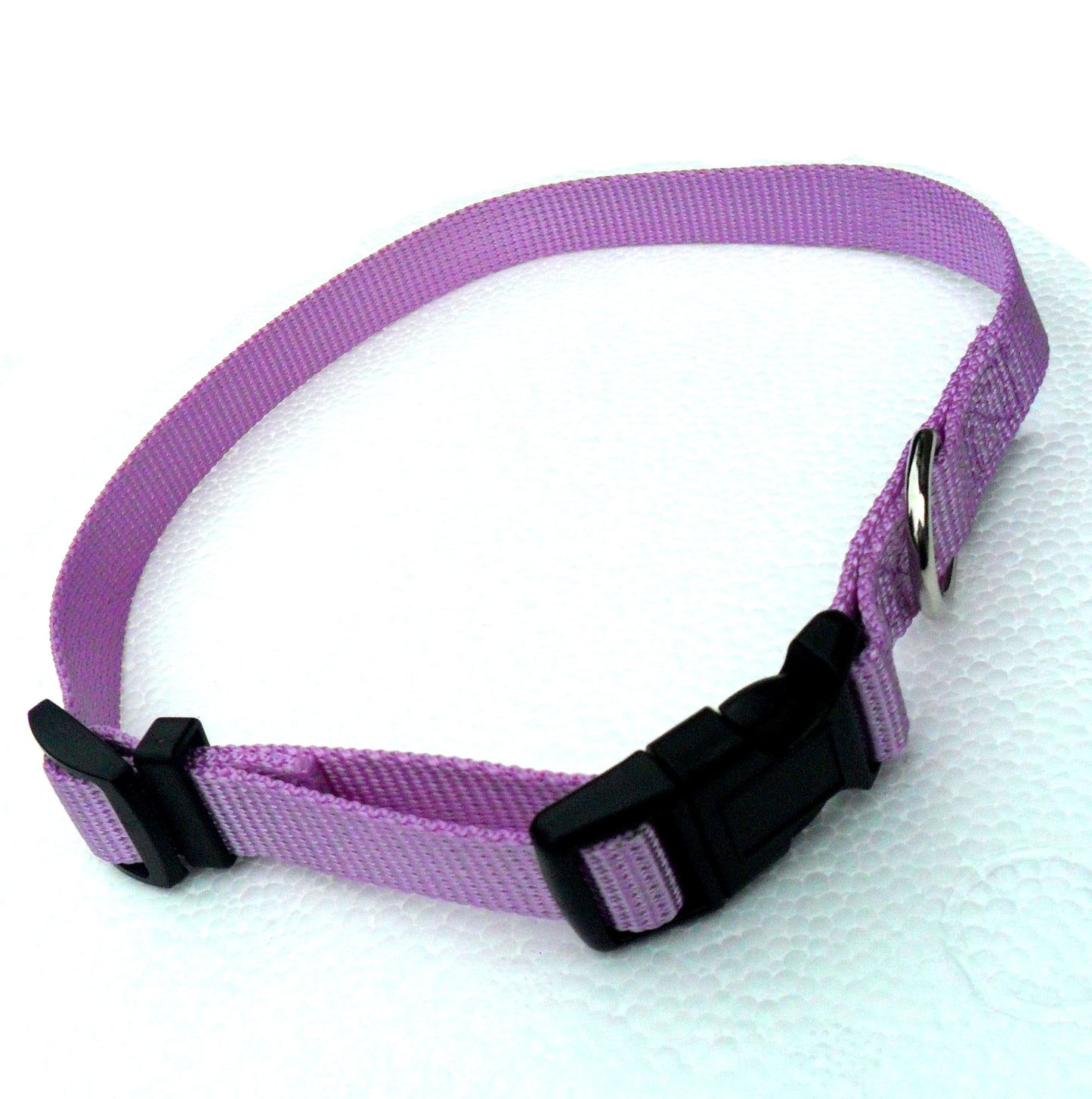 Collier Réglable en Nylon pour Chien – 4 Couleurs