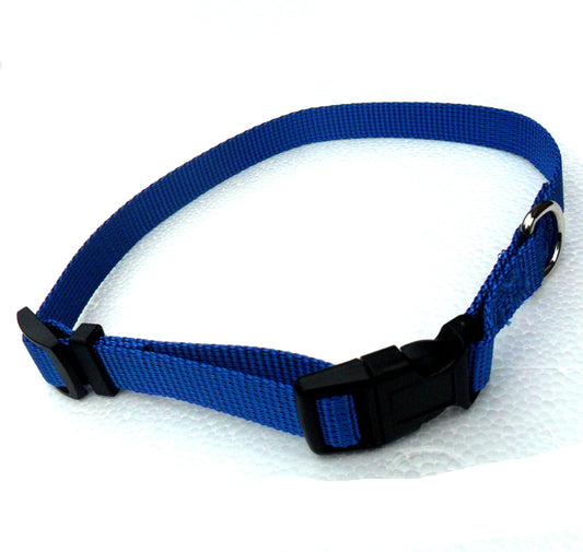 Collier Réglable en Nylon pour Chien – 4 Couleurs