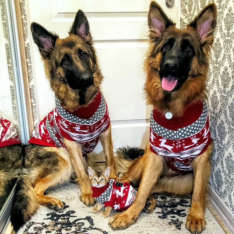 Pull Tricoté pour Chien – Laine, Motif Élan & Rayures, Automne/Hiver, 5 à 28 kg