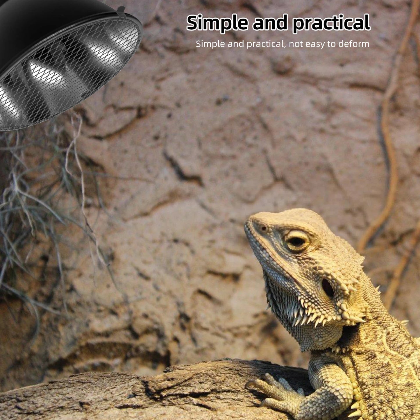 Grille de Protection Lampe Chauffante pour Terrarium Reptile