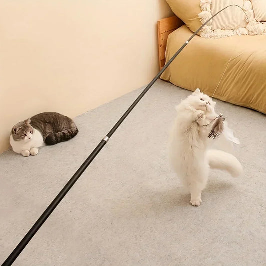 Canne à pêche télescopique pour chat