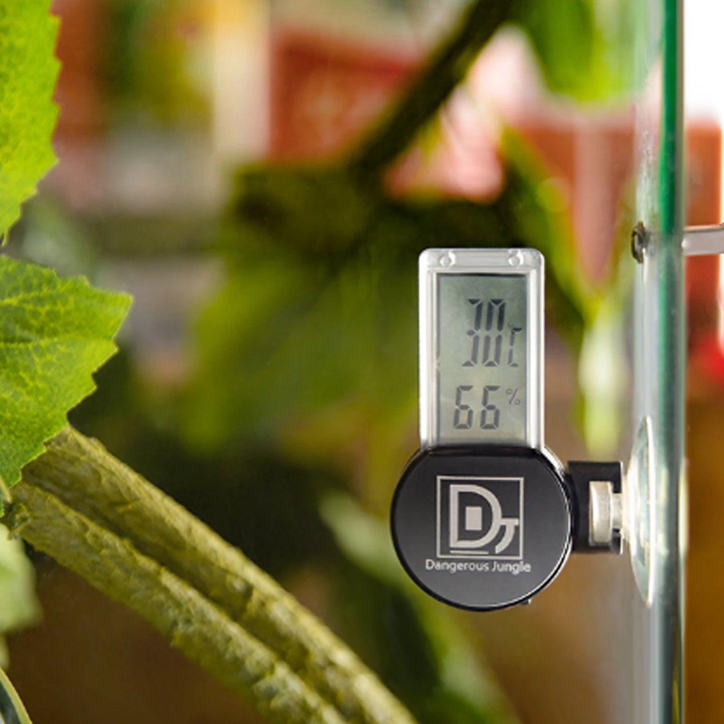 Thermomètre Hygromètre Digital pour Terrarium Reptiles – Affichage Température & Humidité, IP5, Ventouse