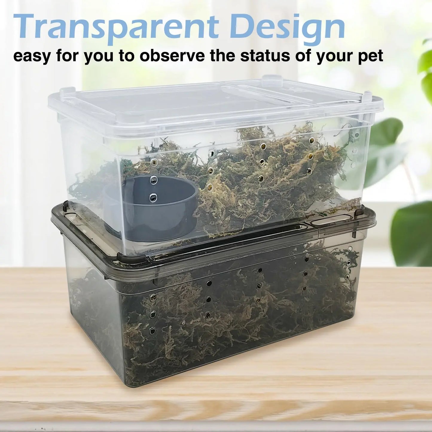 Terrarium en plastique pour Reptile, récipient de transport pour lézards, geckos, serpents, araignées, scorpions, coléoptères, mille-pattes, 6 pièces