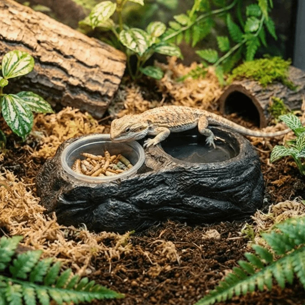 Plat d'alimentation en résine imitation pierre, résistant à l'usure, avec bols, bol pour nourriture de reptile, empêche les déversements, anti-choc