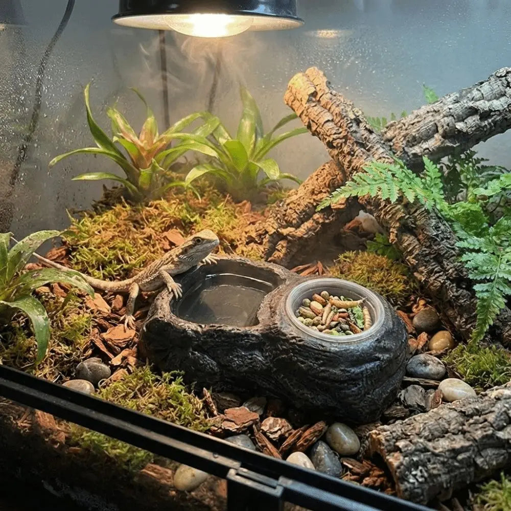 Plat d'alimentation en résine imitation pierre, résistant à l'usure, avec bols, bol pour nourriture de reptile, empêche les déversements, anti-choc