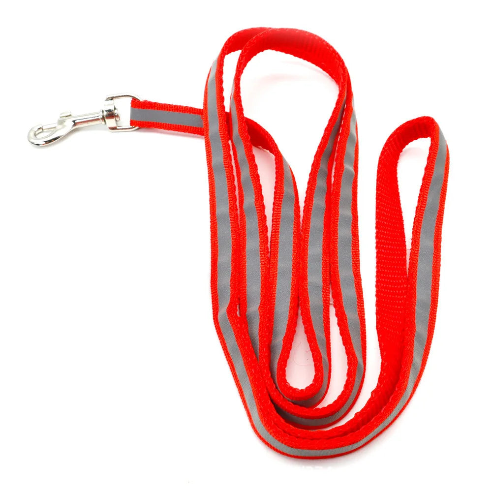 Laisse Réfléchissante pour Chien, Chat & Lapin – 1,2M, Clochette, 13 Coloris