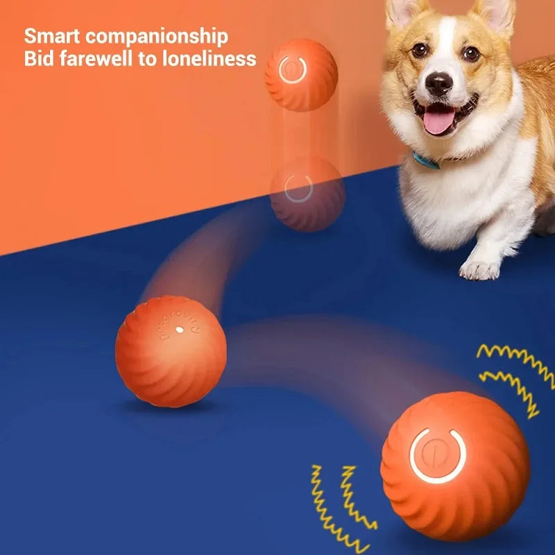 Balle Interactive Automatique pour Chien – USB