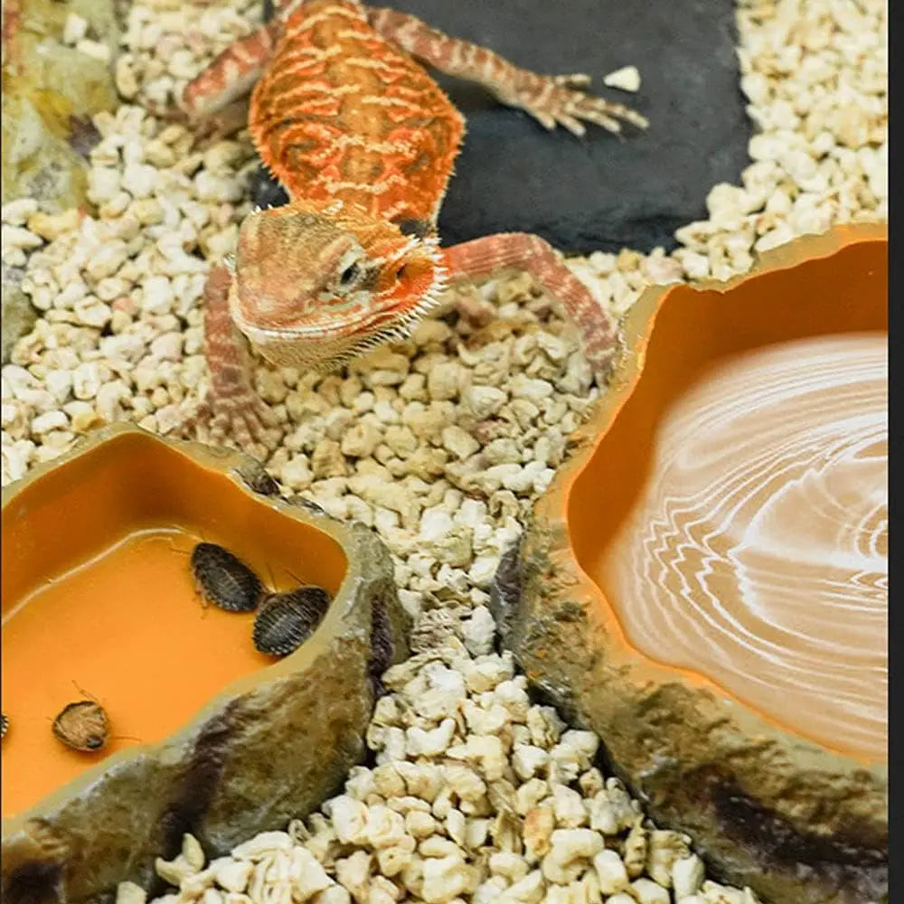 Bol Imitation Roche en Résine pour Reptiles – Terrarium
