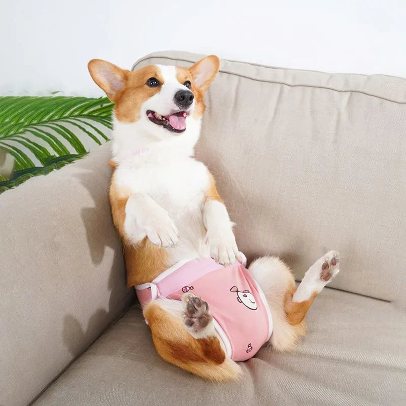 Culotte Physiologique Réglable pour Chienne – Lavable, Toutes Saisons