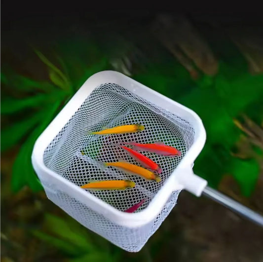 Épuisette Carrée pour Aquarium – Manche Extensible & Ventouse, Blanc / Noir