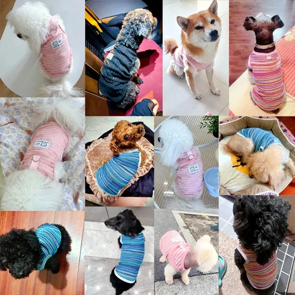 Gilet d'été pour petits et moyens chiens, vêtements rafraîchissants pour Chihuahua, Bouledogue Français, vêtements respirants, chemise décontractée pour chiot, costume pour chien