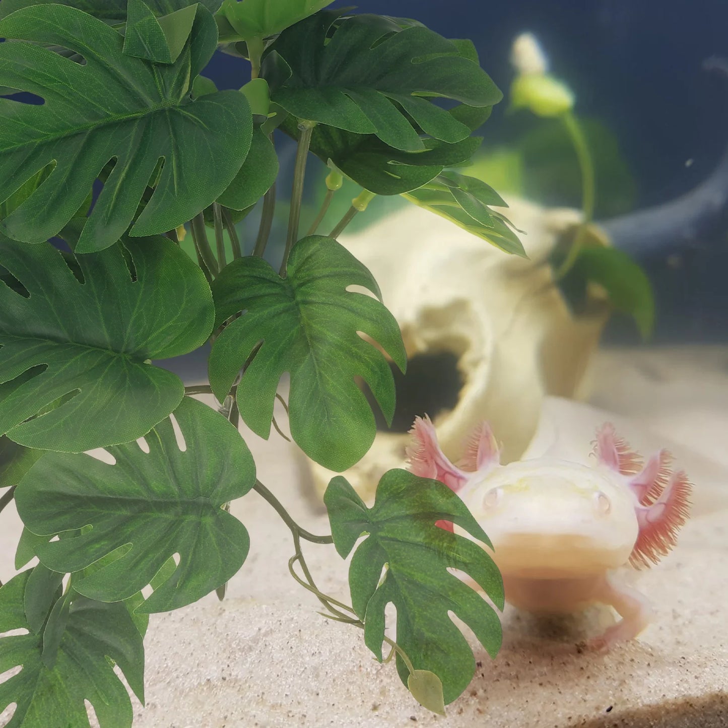 Plante Artificielle en Feuille pour Terrarium & Aquarium – Décor Reptiles & Amphibiens