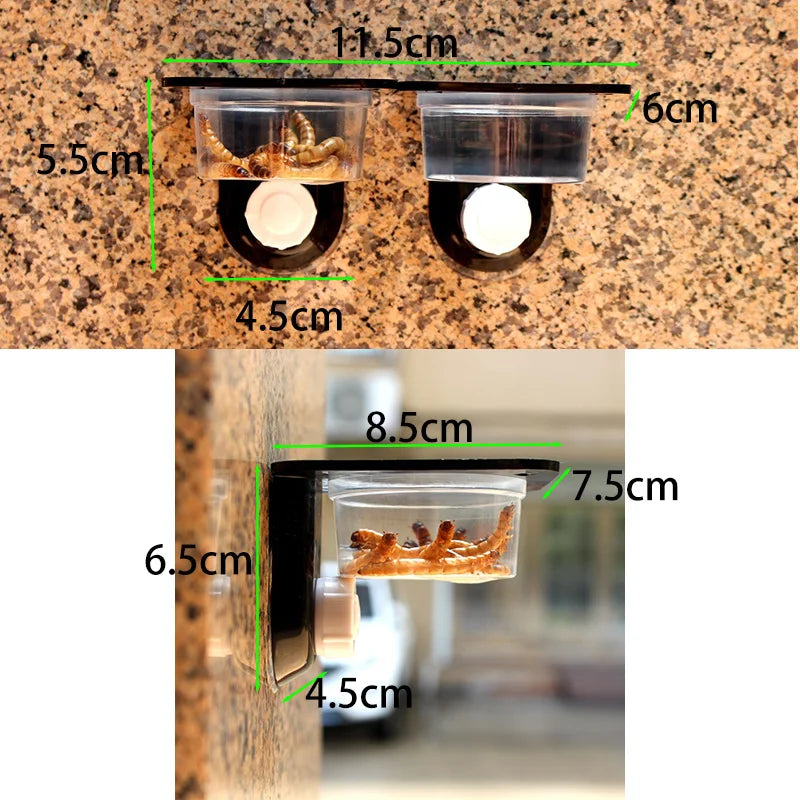 Mangeoire Murale pour Terrarium – Boîte d'Alimentation Anti-évasion