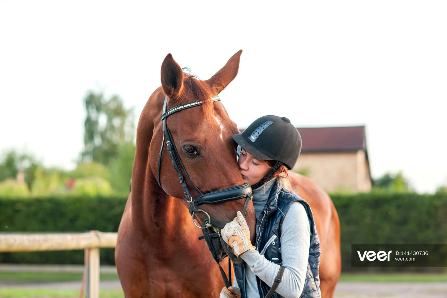 Licou rembourré en PVC souple pour cheval – Ergonomique et confortable (XS à L)