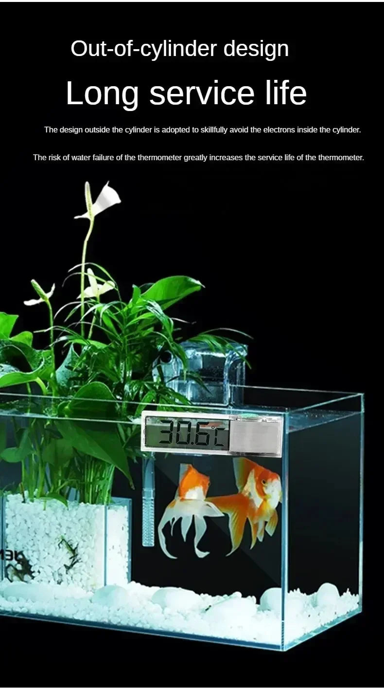 Thermomètre Digital Adhésif pour Aquarium – Affichage LCD Transparent, ±0,1°C, Or / Argent