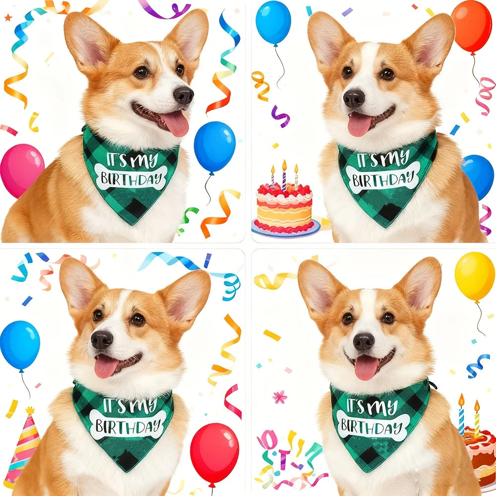 Bandana Anniversaire pour Chien — Écharpe Triangulaire À Carreaux