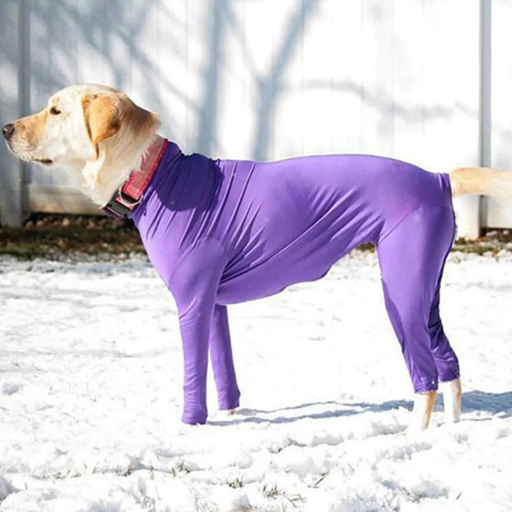 Combinaison pour Chien – Élasthanne, Anti-Perte de Poils, Convalescence, S à XXL
