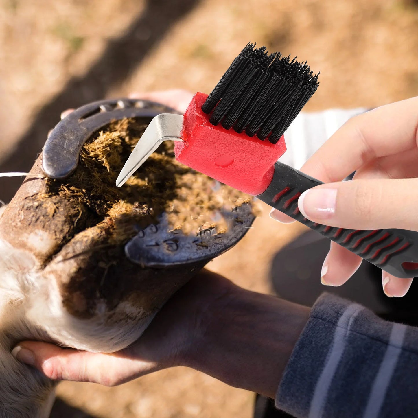 Outil efficace de soin des sabots de cheval, brosse de sélection et de poils en acier inoxydable, poignée confortable pour le toilettage et l'entretien