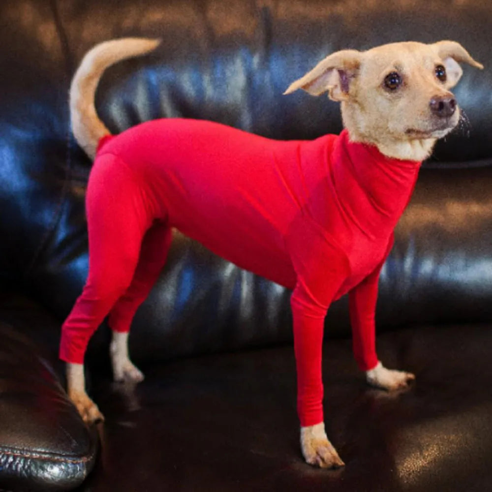 Combinaison pour Chien – Élasthanne, Anti-Perte de Poils, Convalescence, S à XXL